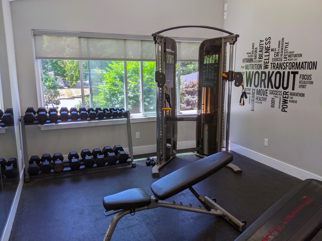 A gym with a row of dumbbells and a treadmill.