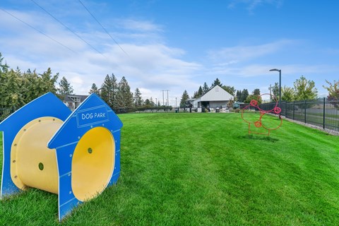 A dog park with a blue and yellow slide and a red climbing structure.