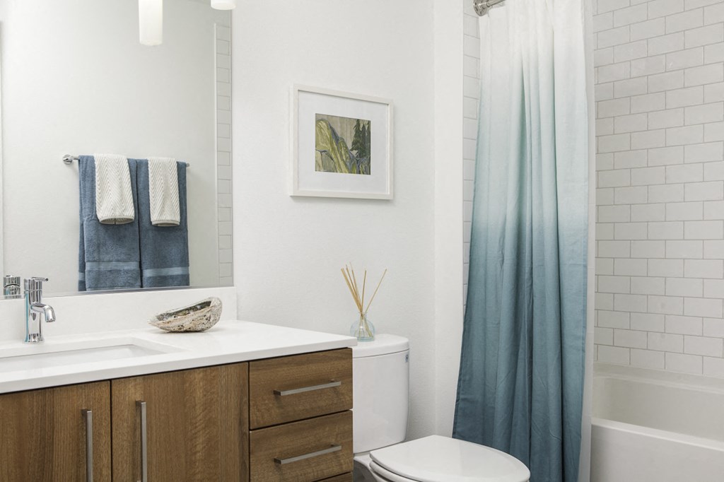 4730 California Apartments Bathroom Modern, Flat-Panel Cabinets