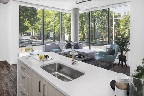 Floor-to-Ceiling Windows