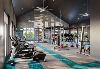 a gym with treadmills and weights on a blue rug