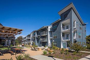 Capitol Yard Apartments_ West Sacramento CA_Community Courtyard