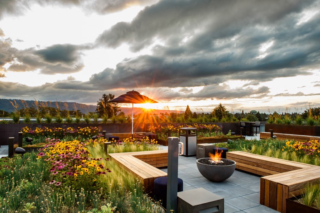 One day, Simba, all of this will be yours