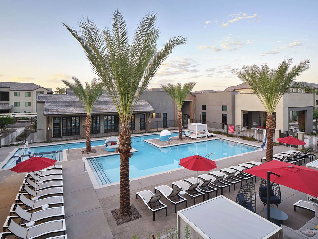a swimming pool with chairs and palm trees