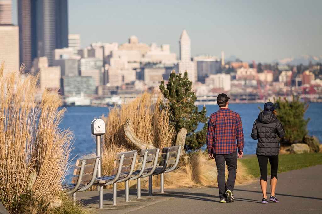 Views of Seattle Skyline from Park