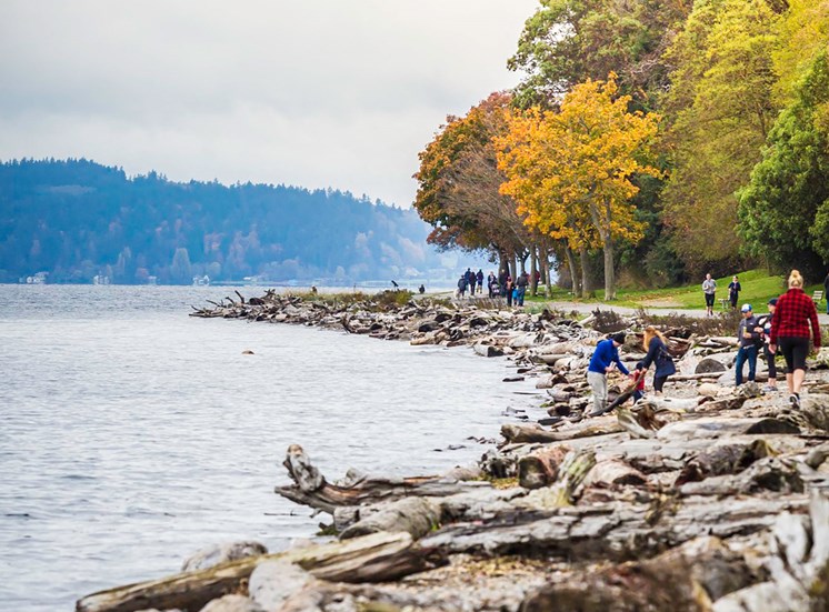People Walking Along Rocky Shoreline