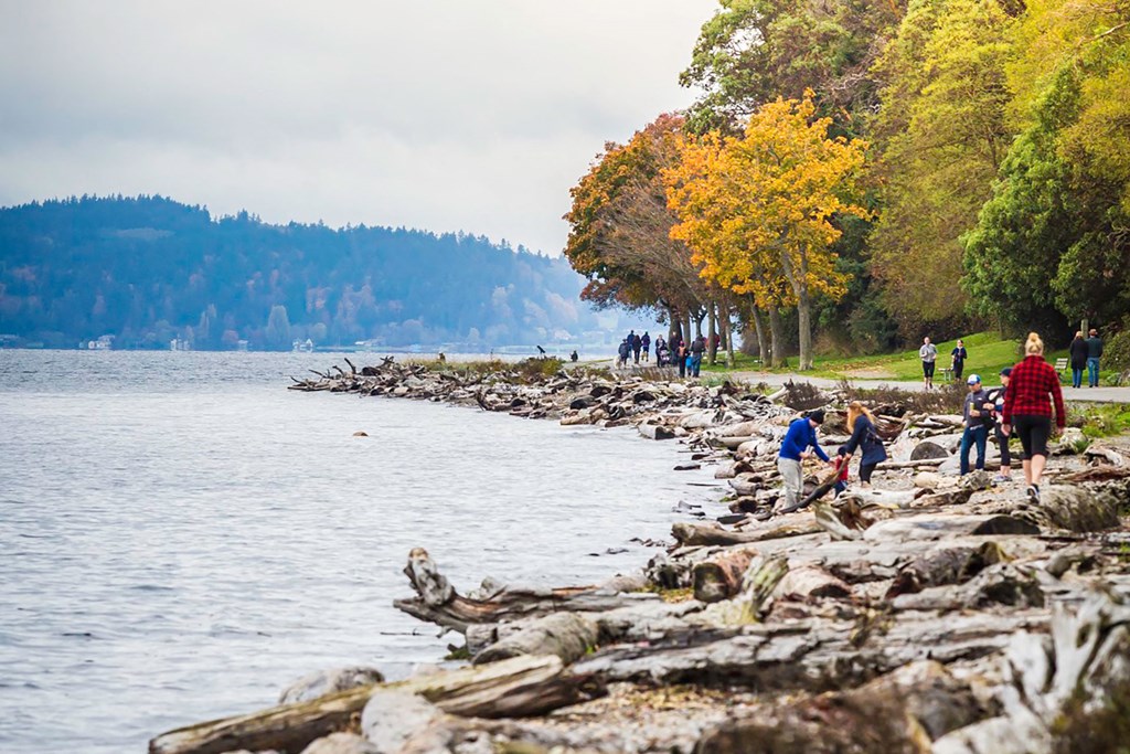 People Walking Along Rocky Shoreline