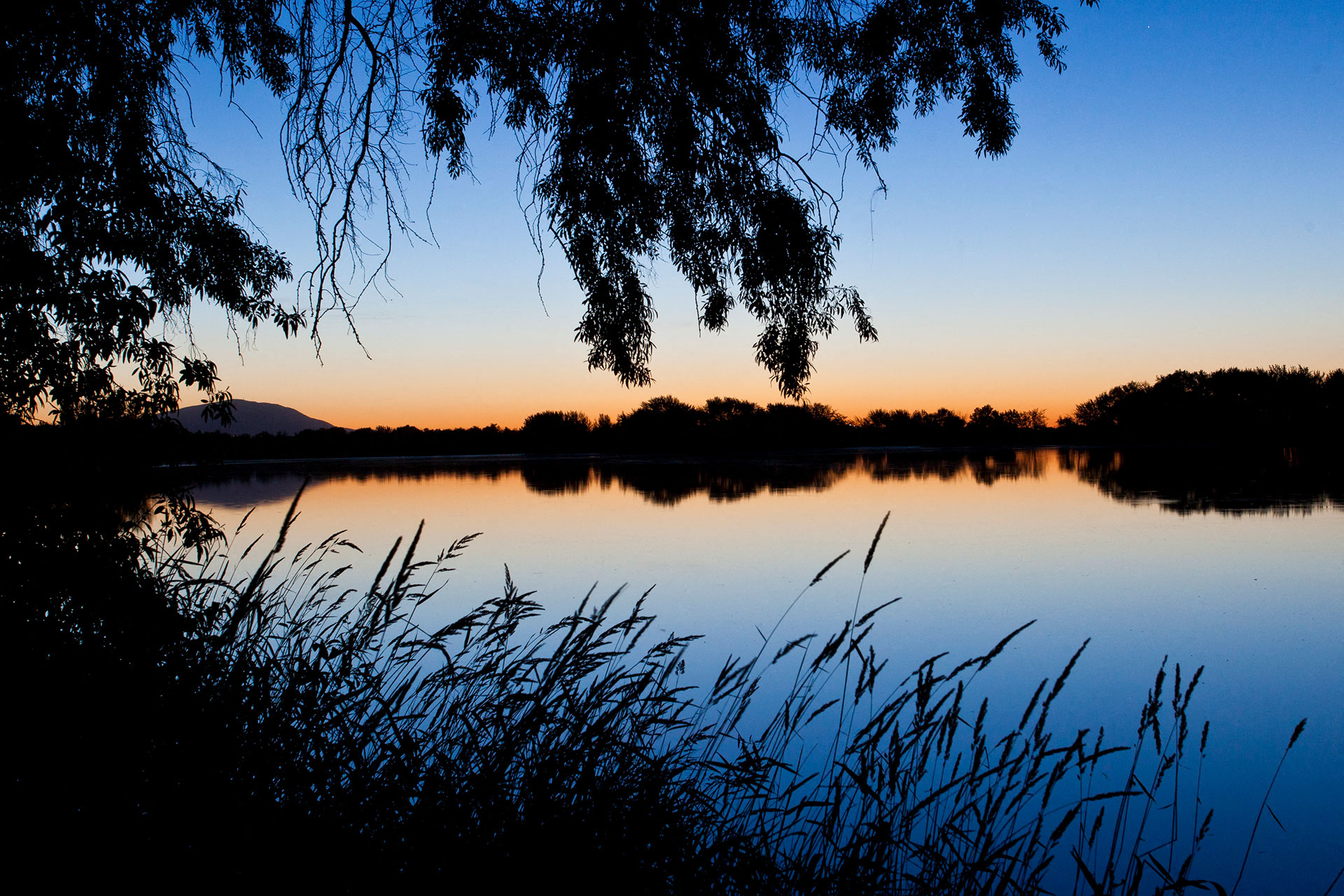 Island View Apartments Riverbank