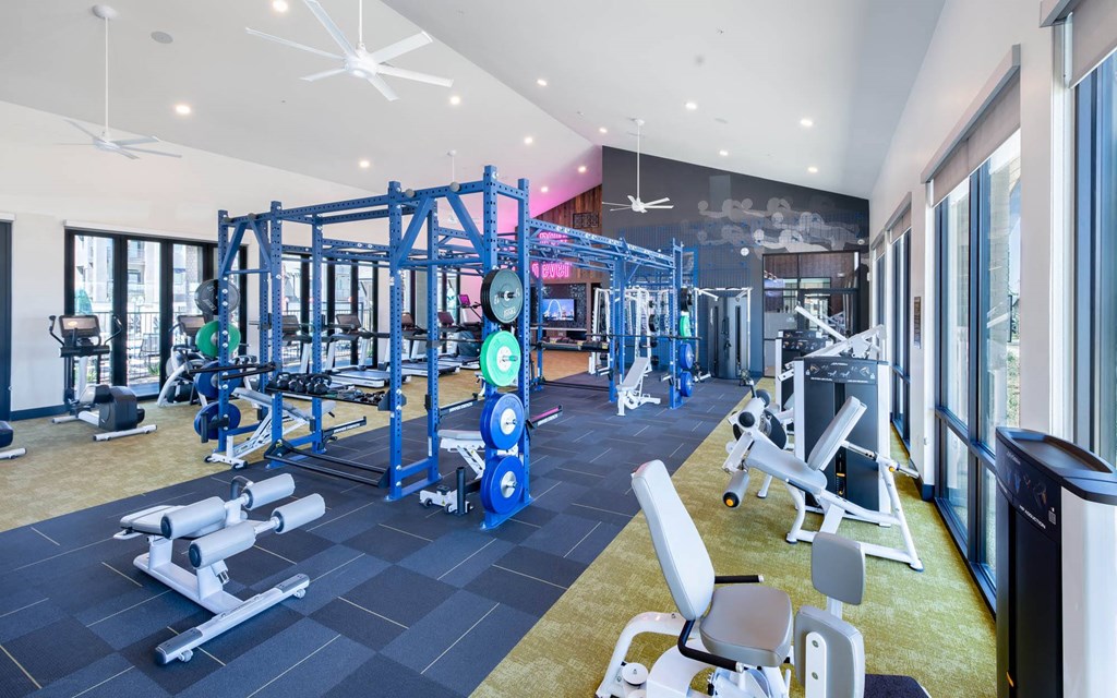 a gym with weights and cardio equipment in aria resort and spa