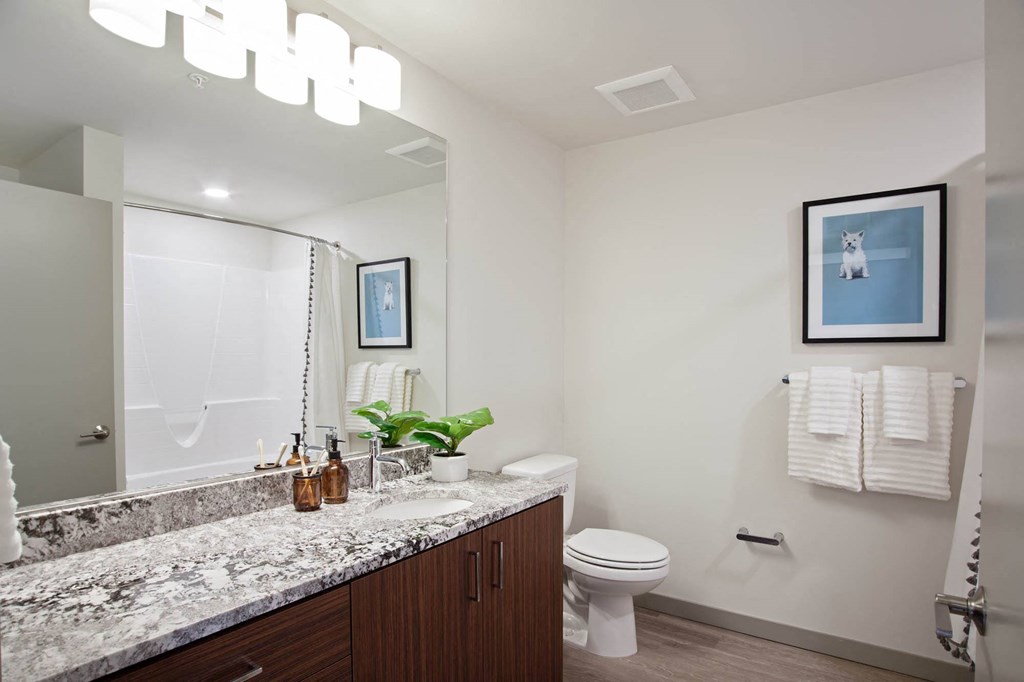 Tempo PDX Model Bathroom