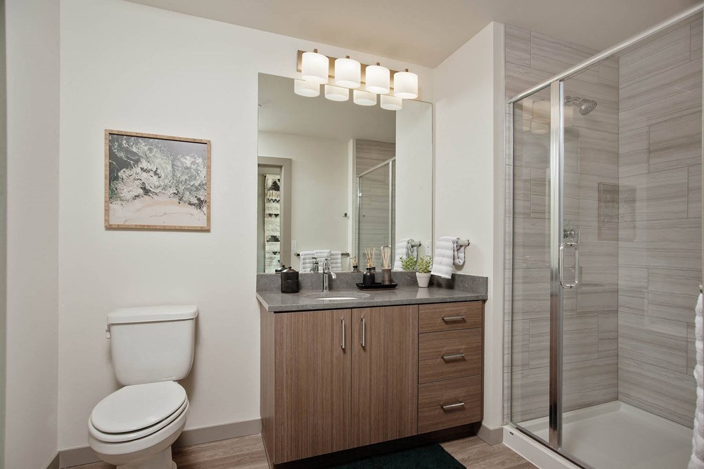 Tempo PDX Model Bathroom