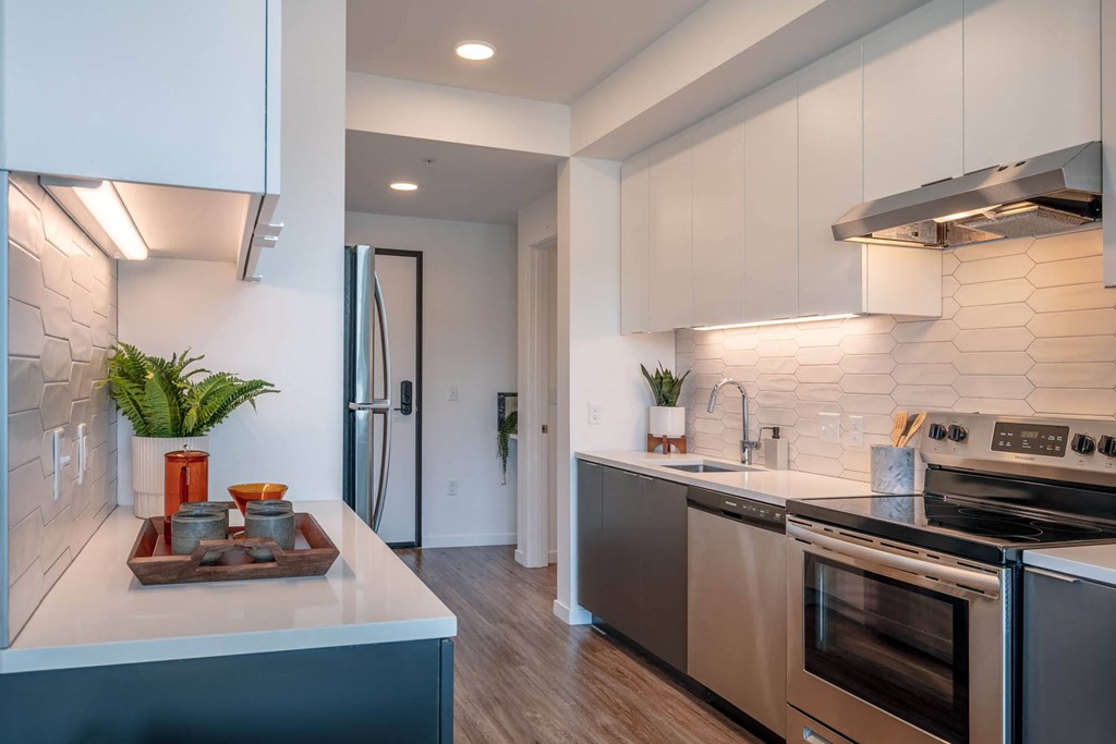 Stainless Steel Appliances