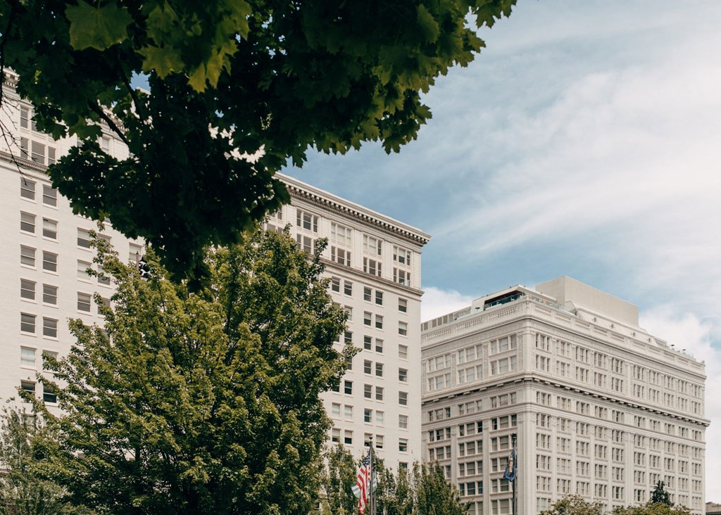 two buildings with trees in the foreground and a blue sky