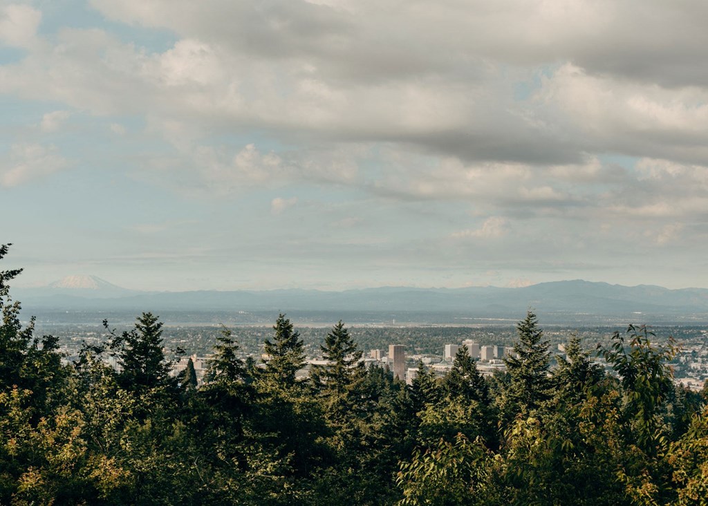 a view of the city through the trees