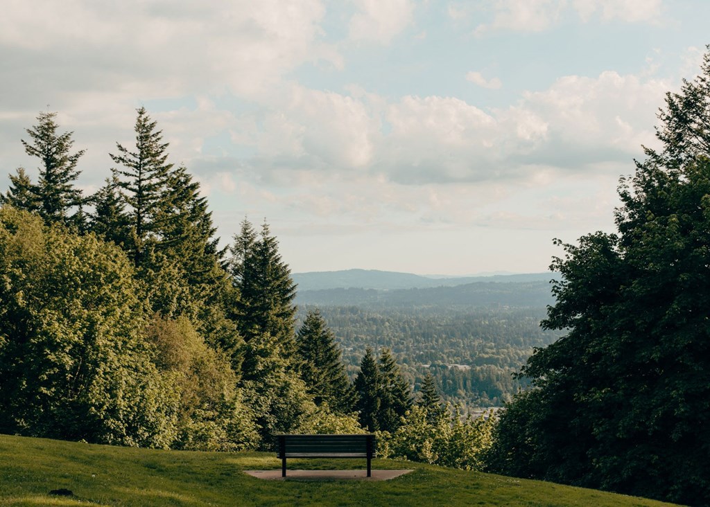 a park bench on a hill with a view of the city