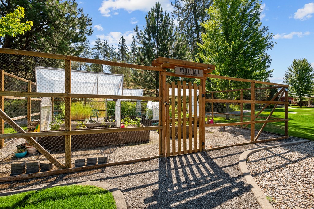 a backyard with a playground and a wooden gate