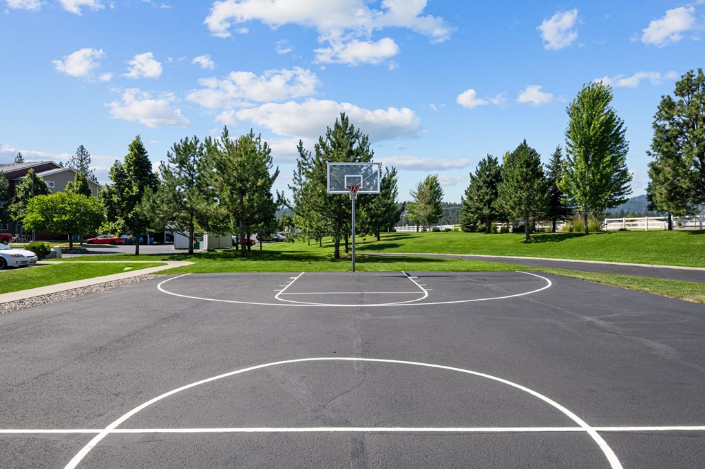 a basketball court in a park with trees
