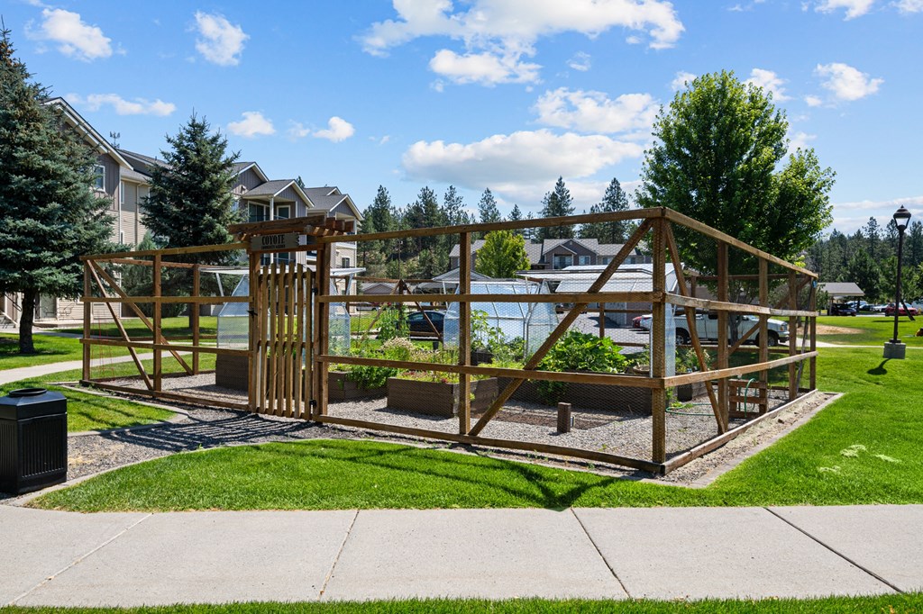a garden area with a wooden structure and a pond in a park