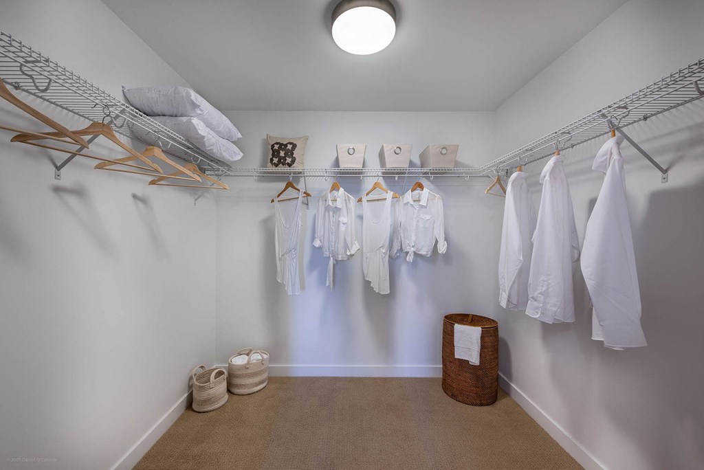 Large Walk-in & Walk-Through Closets