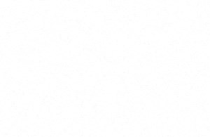 A3