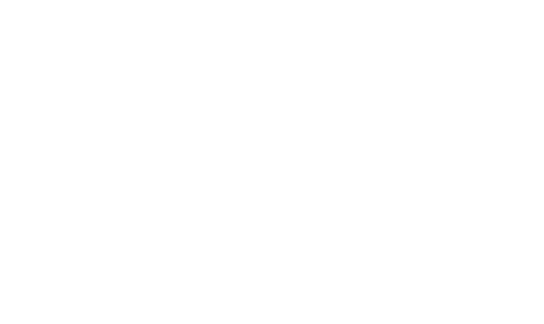a white horse head on a black background with the words palomino