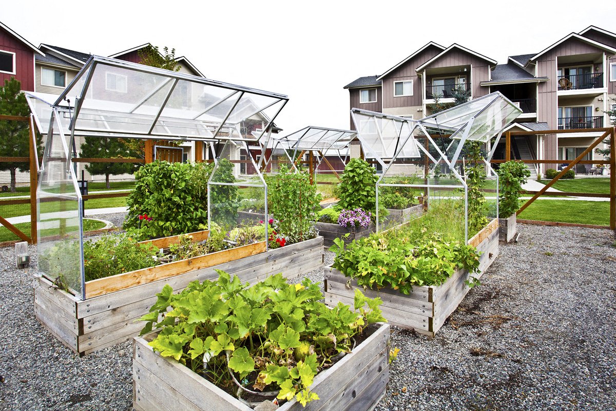 Pine Valley Ranch Apartments Community Private Pea-Patch Gardens