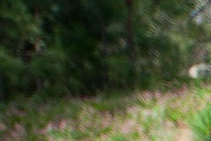 Pine Valley Ranch Apartments In Spokane Wa