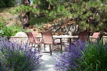 Pine Valley Ranch Apartments Outdoor Fire Pits - Photo Gallery 21