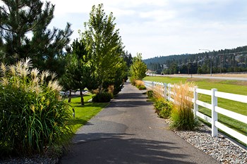 Pine Valley Ranch Apartments Trailhead and Hiking Paths - Photo Gallery 22