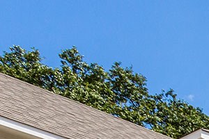 Homes-Fully Landscaped Front Yards Rivers Edge Apartments Fully Landscaped Front Yards