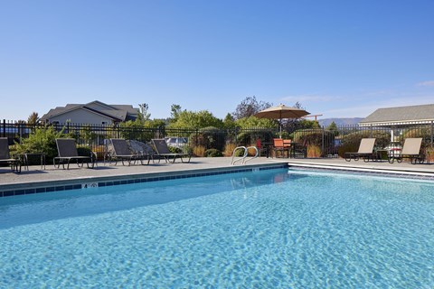Pool & Patio