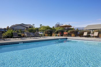 Pool & Patio - Photo Gallery 12