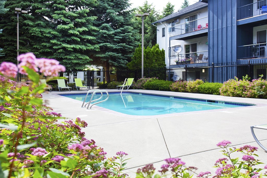 The Whimsical Pig Apartments Swimming Pool