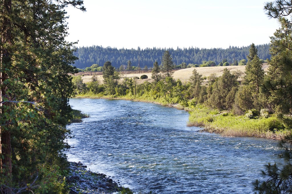The Whimsical Pig Apartments Exterior River Access