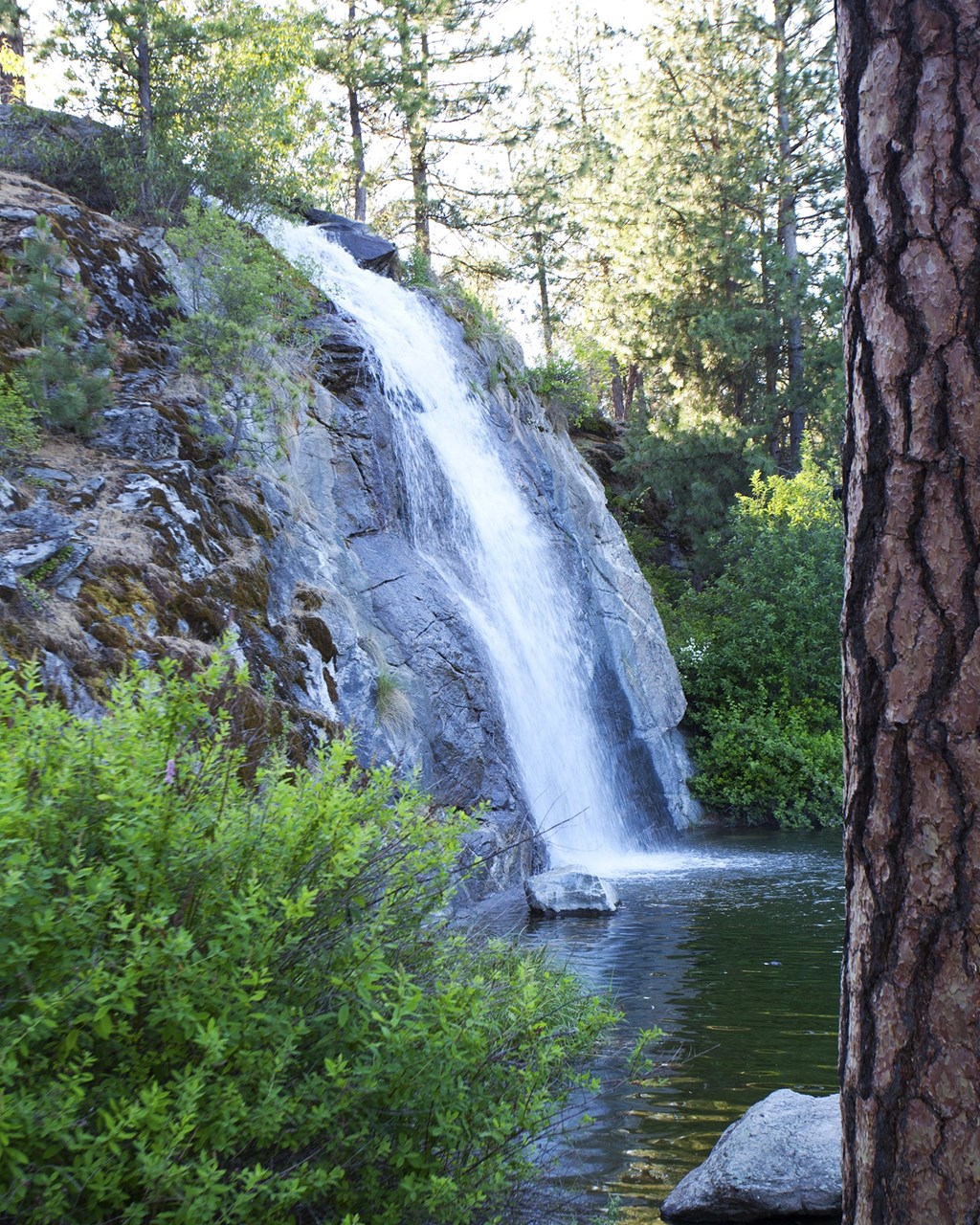The Whimsical Pig Apartments Exterior Waterfall