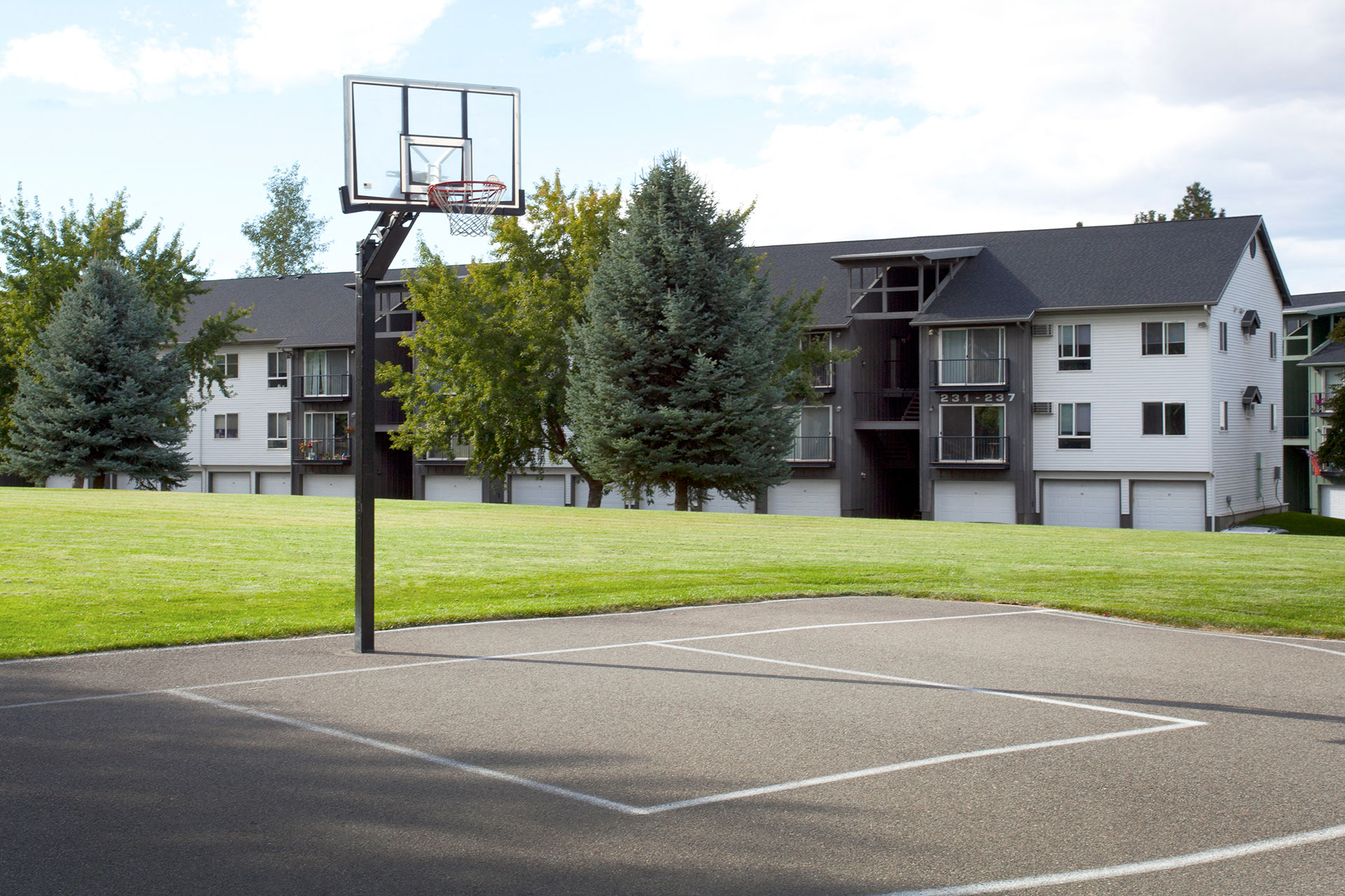 Whimsical Pig Apartments Basketball Court