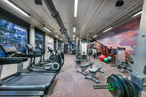 A gym with treadmills, weights and exercise balls.