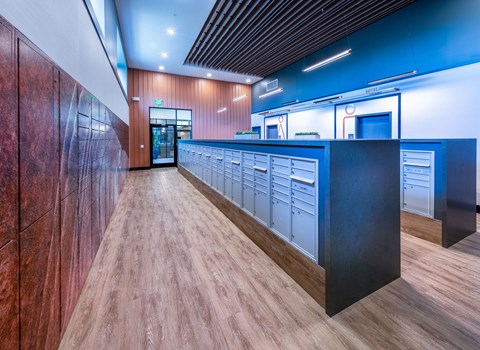 a long counter in a room with wood floors and blue walls