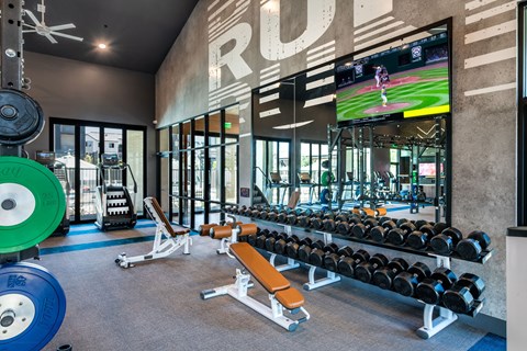 a gym with weights and a tv on the wall