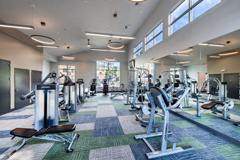 A gym with a variety of equipment and a blue and green carpet.