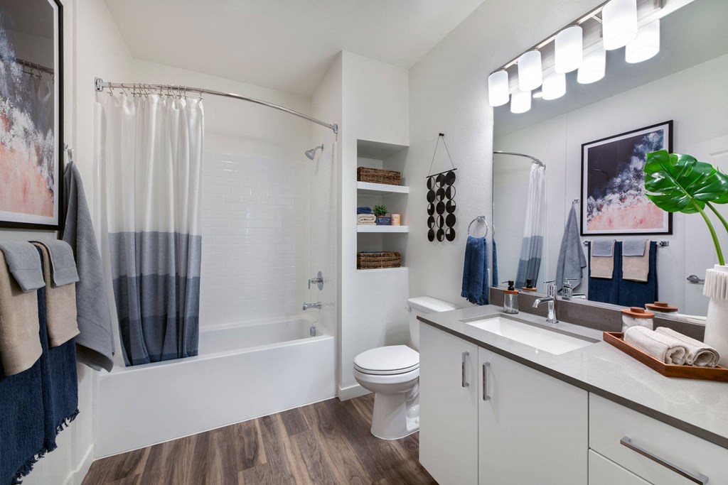 a bathroom with a shower toilet and sink and a mirror
