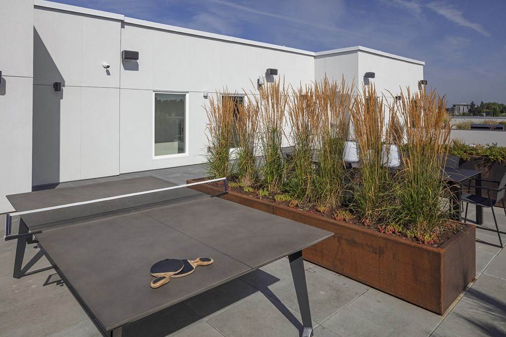 Northpointe Apartments Exterior Ping Pong Table