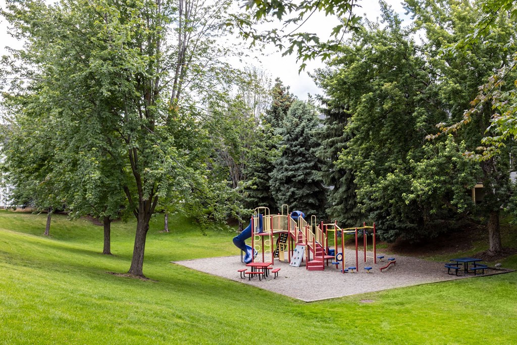 a playground with a slide in the middle of a grassy field