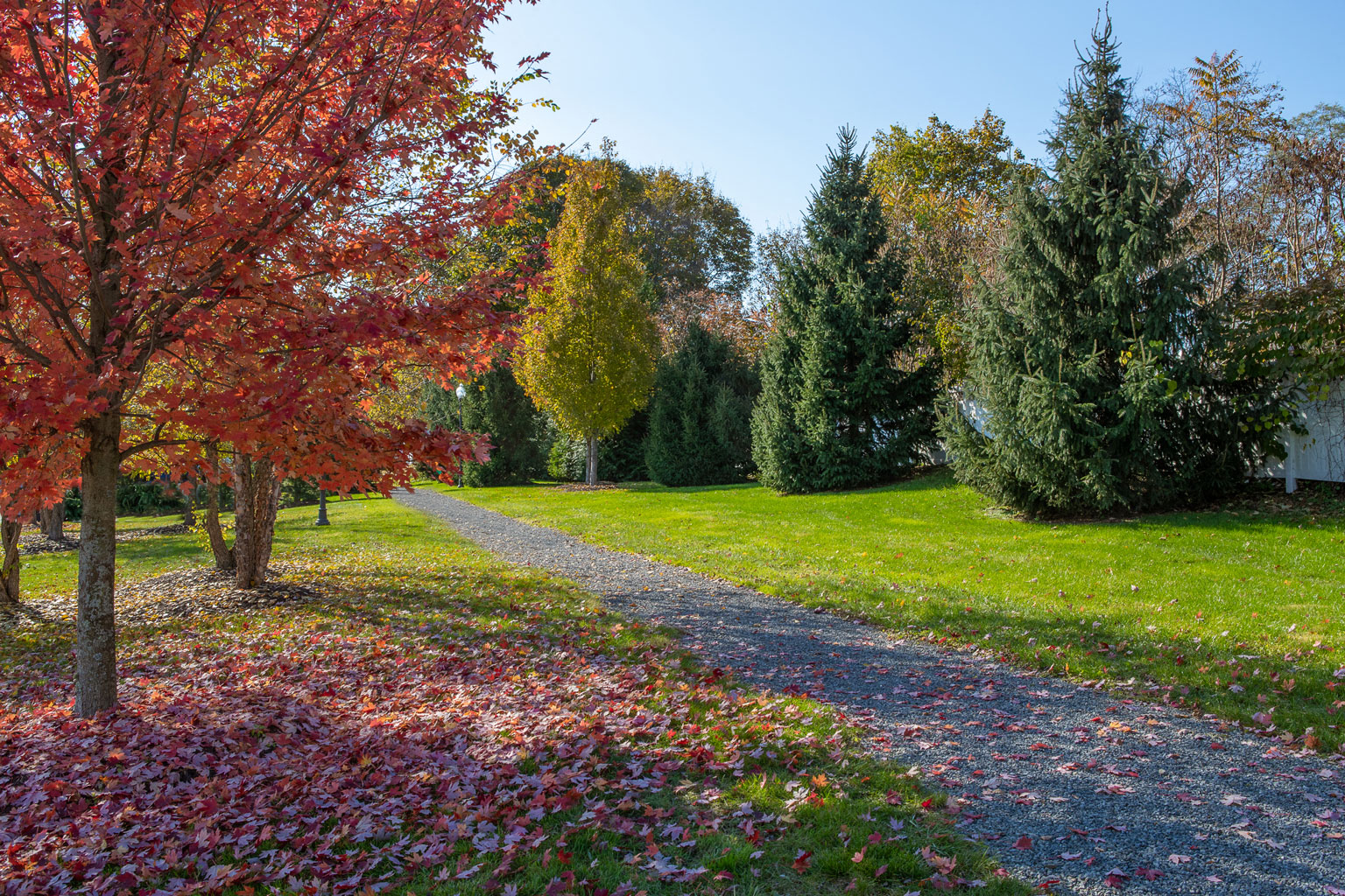 Walking & Bike Trails