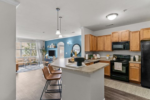 A kitchen with a black refrigerator and wooden cabinets.