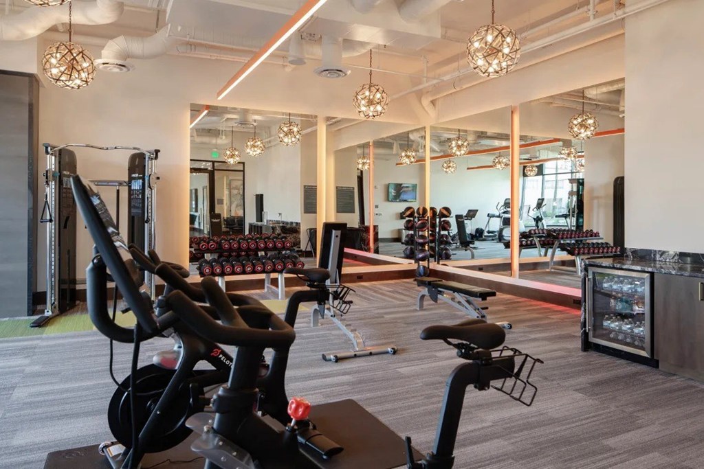 A gym with a variety of exercise equipment including treadmills, stationary bikes, and weight machines.