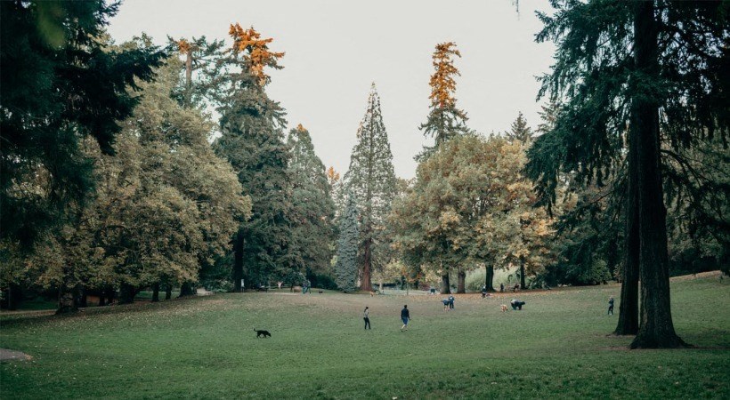 a group of people playing in a park