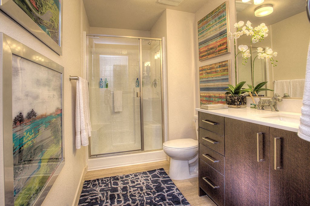 Designer Cabinets and Countertops