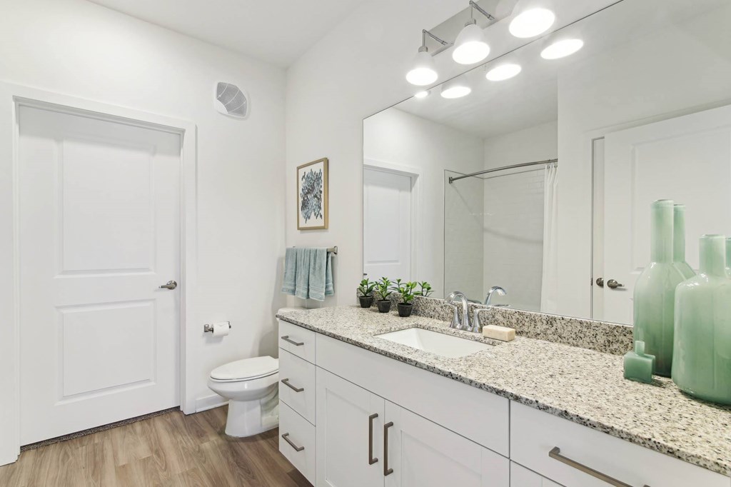 Well-Appointed Bathrooms