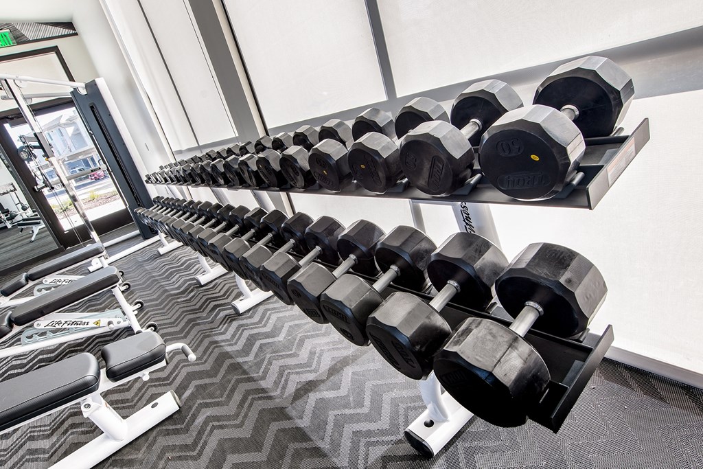 24-Hour Fitness Studio